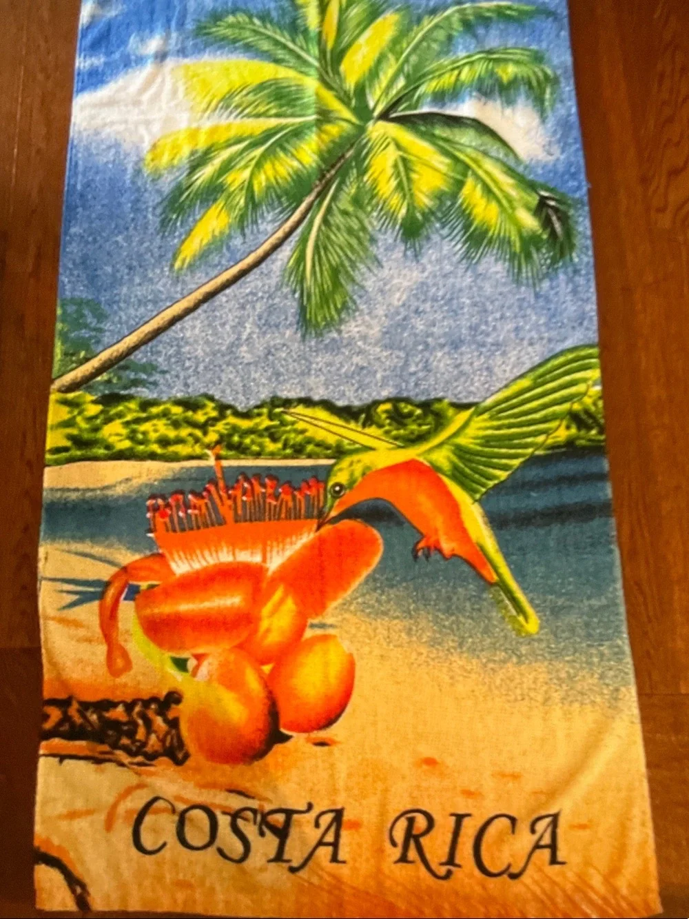 Beach Towel NWOT